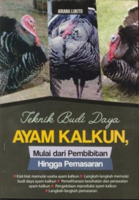 Image of Teknik budidaya ayam kalkun, mulai dari pembibitan hingga pemasaran