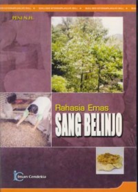 Image of Rahasia emas sang belinjo