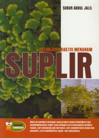 Image of Petunjuk praktis menanam suplir