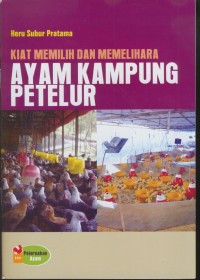 Image of Kiat memilih dan memelihara ayam kampung petelur