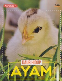 Image of Daur hidup : ayam
