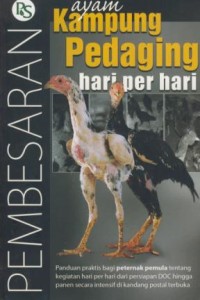 Image of Pembesaran ayam kampung pedaging hari per hari