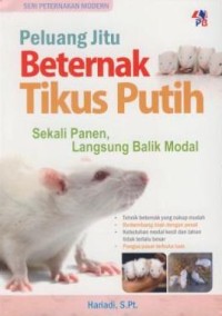 Image of Peluang jitu beternak tikus putih sekali panen, langsung balik modal