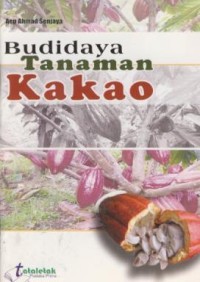 Image of Budidaya tanaman kakao