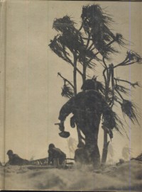 Image of Perang dunia II : pertempuran di pulau