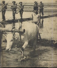 Image of Perang dunia II : Cina-Birma-india