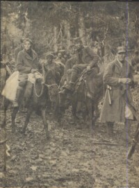 Image of Perang dunia II : Partisan dan gerilyawan