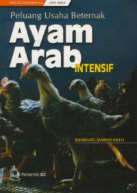 Peluang usaha beternak ayam arab intensif