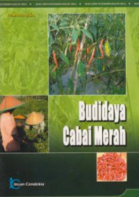 Budidaya cabai merah