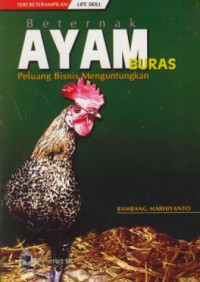 Beternak ayam buras peluang bisnis menguntungkan