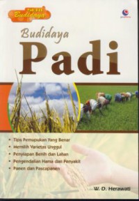 Budidaya padi