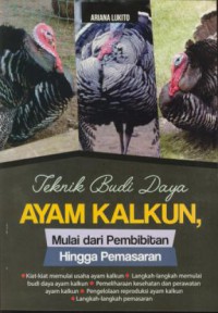 Teknik budidaya ayam kalkun, mulai dari pembibitan hingga pemasaran