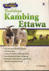 Budidaya kambing ettawa