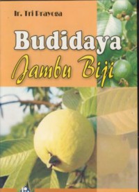 Budidaya jambu biji