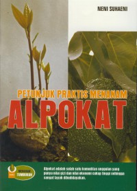 Petunjuk praktis menanam alpokat