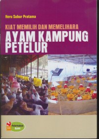 Kiat memilih dan memelihara ayam kampung petelur