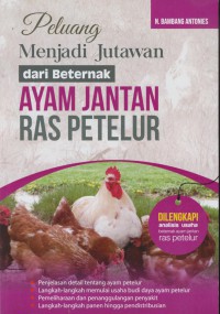 Peluang menjadi jutawan dari bertenak ayam jantan ras petelur