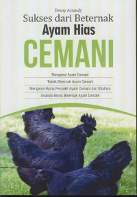 Sukses dari beternak ayam hias cemani