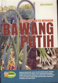 Petunjuk praktis menanam bawang putih