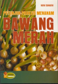 Petunjuk Praktis Menanam bawang merah