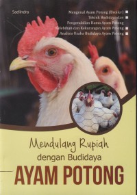 Mendulang rupiah dengan budidaya ayam potong