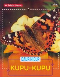 Daur hidup : kupu-kupu