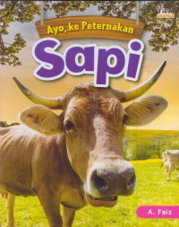 Ayo, kepeternakan sapi