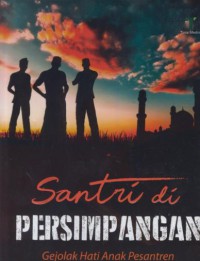 Santri di persimpangan : gejolak hati anak pesantren