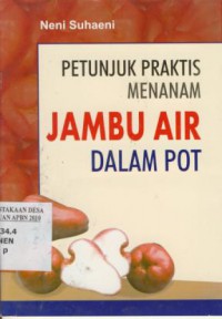 Petunjuk Praktis Menanam Jambu Air Dalam Pot