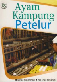 Ayam Kampung Petelur