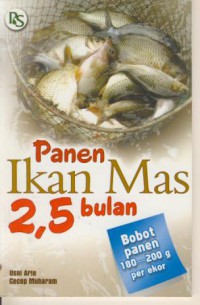 Panen Ikam Mas 2.5 bulan