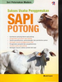 Sukses usaha penggemukan sapi potong