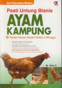 Pasti untung bisnis ayam kampung