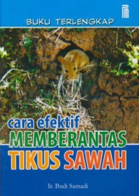 Cara efektif memberantas tikus sawah