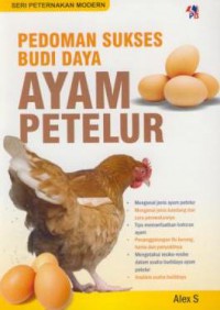 Pedoman sukses budi daya ayam petelur