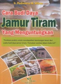 Cara budi daya jamur tiram yang menguntungkan