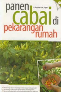 Panen cabai di pekarangan rumah