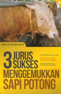 3 jurus sukses menggemukkan sapi potong