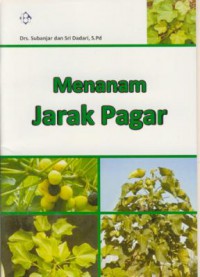 Menanam jarak pagar