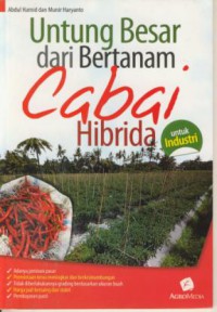 Untung besar dari bertanam cabai hibrida untuk industri