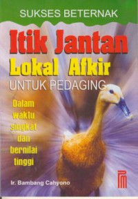 Sukses beternak itik jantan lokal afkir untuk pedaging