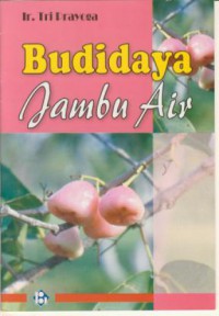 Budi daya jambu air