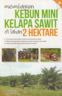 Membangun kebun mini kelapa sawit d lahan 2 hektare