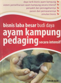 Bisnis laba besar budi daya ayam kampung pedaging secara intensif