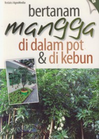 Bertanam mangga di dalam pot & di kebun