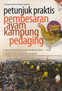 Petunjuk praktis pembesaran ayam kampung pedaging 2 bulan panen