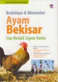 Budidaya & memaster ayam bekisar siap menjadi jagoan kontes