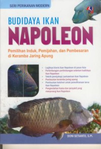 Budidaya ikan napoleon : pemilihan induk, pemijahan, dan pembesaran di keramba jaring apung