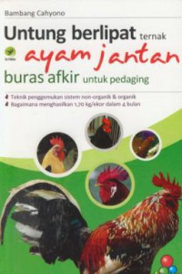 Untung berlipat ternak ayam jantan buras afkir untuk pedaging