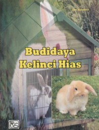 Budidaya kelinci hias